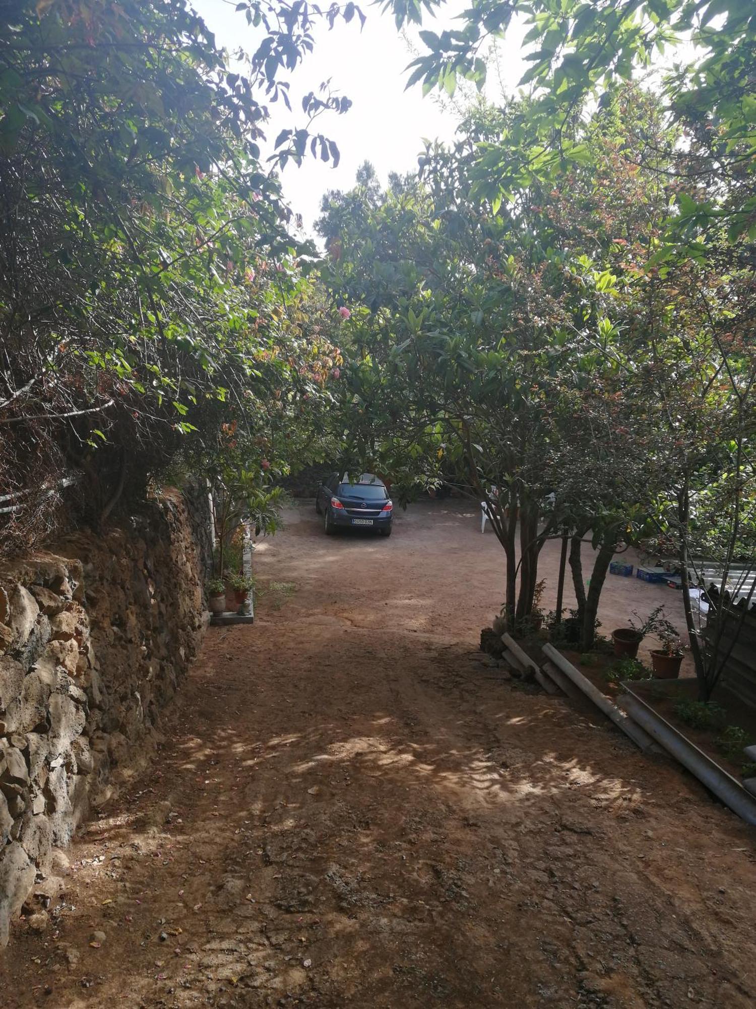 Casa Ecologica, Autosuficiente En Lomo Blanco, Dentro De Una Casa Rodeada De Naturaleza Сан-Хуан-де-ла-Рамбла Экстерьер фото
