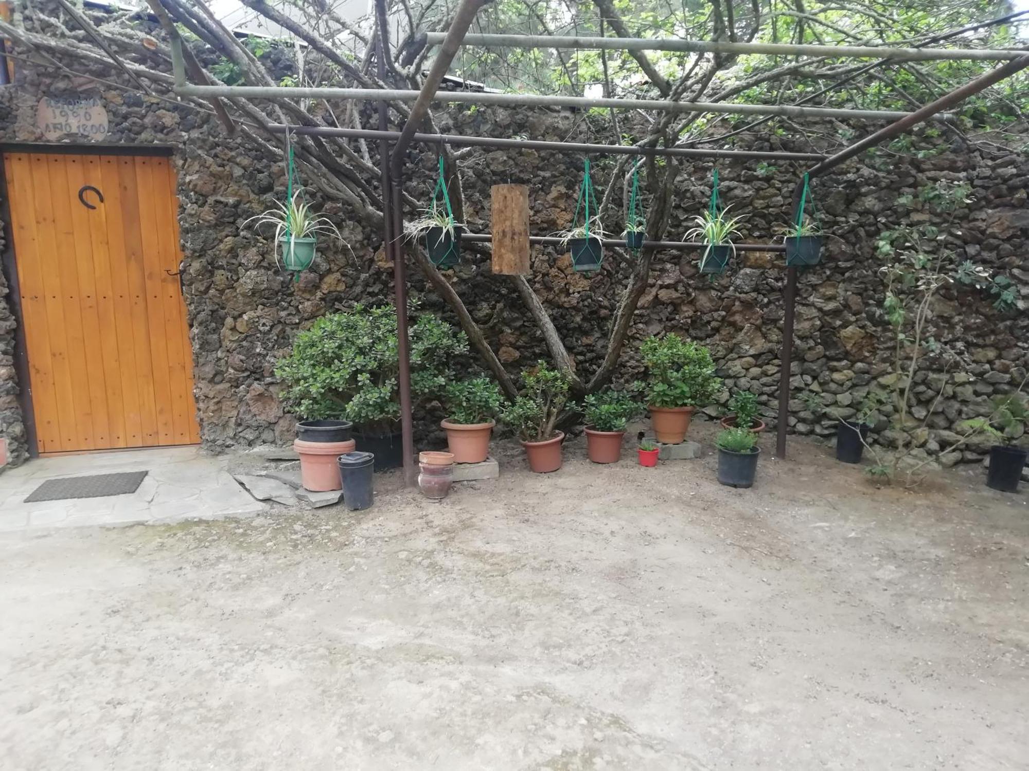 Casa Ecologica, Autosuficiente En Lomo Blanco, Dentro De Una Casa Rodeada De Naturaleza Сан-Хуан-де-ла-Рамбла Экстерьер фото
